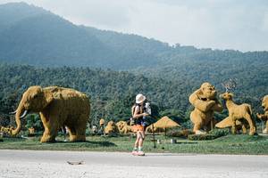 BIB: 
                            <button type="button" onclick="openModal(25888991)" class="btn btn-primary btn-sm float-right btn-popup" data-toggle="modal" data-target=".modal-high-quality">
                        <i class="fas fa-shopping-cart"></i> Add to Cart
                    </button>
                                            <button type="button" onclick="isThisMe(25888991, true)" class="btn btn-success btn-sm float-right btn-popup btn-isme hidden" data-toggle="tooltip" data-placement="bottom" title="นี่คือรูปของคุณใช่ไหม คลิกที่นี่เพื่อเอาเข้าอัลบั้ม">
                        <i class="fas fa-plus"></i> Add to album
                    </button>
                    <button type="button" onclick="isThisMe(25888991, false)" class="btn btn-warning btn-sm float-right btn-popup btn-isnotme hidden">
                        <i class="fas fa-ban"></i> Remove from album
                    </button>