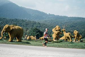 BIB: 
                            <button type="button" onclick="openModal(25888789)" class="btn btn-primary btn-sm float-right btn-popup" data-toggle="modal" data-target=".modal-high-quality">
                        <i class="fas fa-shopping-cart"></i> Add to Cart
                    </button>
                                            <button type="button" onclick="isThisMe(25888789, true)" class="btn btn-success btn-sm float-right btn-popup btn-isme hidden" data-toggle="tooltip" data-placement="bottom" title="นี่คือรูปของคุณใช่ไหม คลิกที่นี่เพื่อเอาเข้าอัลบั้ม">
                        <i class="fas fa-plus"></i> Add to album
                    </button>
                    <button type="button" onclick="isThisMe(25888789, false)" class="btn btn-warning btn-sm float-right btn-popup btn-isnotme hidden">
                        <i class="fas fa-ban"></i> Remove from album
                    </button>