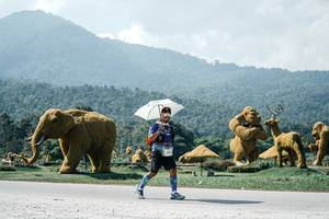 BIB: 
                            <button type="button" onclick="openModal(25983455)" class="btn btn-primary btn-sm float-right btn-popup" data-toggle="modal" data-target=".modal-high-quality">
                        <i class="fas fa-shopping-cart"></i> Add to Cart
                    </button>
                                            <button type="button" onclick="isThisMe(25983455, true)" class="btn btn-success btn-sm float-right btn-popup btn-isme hidden" data-toggle="tooltip" data-placement="bottom" title="นี่คือรูปของคุณใช่ไหม คลิกที่นี่เพื่อเอาเข้าอัลบั้ม">
                        <i class="fas fa-plus"></i> Add to album
                    </button>
                    <button type="button" onclick="isThisMe(25983455, false)" class="btn btn-warning btn-sm float-right btn-popup btn-isnotme hidden">
                        <i class="fas fa-ban"></i> Remove from album
                    </button>