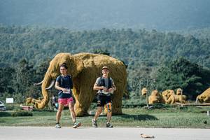 BIB: 
                            <button type="button" onclick="openModal(25911803)" class="btn btn-primary btn-sm float-right btn-popup" data-toggle="modal" data-target=".modal-high-quality">
                        <i class="fas fa-shopping-cart"></i> Add to Cart
                    </button>
                                            <button type="button" onclick="isThisMe(25911803, true)" class="btn btn-success btn-sm float-right btn-popup btn-isme hidden" data-toggle="tooltip" data-placement="bottom" title="นี่คือรูปของคุณใช่ไหม คลิกที่นี่เพื่อเอาเข้าอัลบั้ม">
                        <i class="fas fa-plus"></i> Add to album
                    </button>
                    <button type="button" onclick="isThisMe(25911803, false)" class="btn btn-warning btn-sm float-right btn-popup btn-isnotme hidden">
                        <i class="fas fa-ban"></i> Remove from album
                    </button>