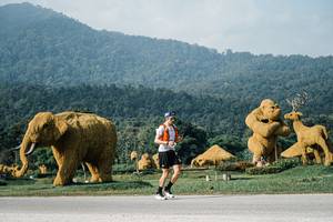 BIB: 
                            <button type="button" onclick="openModal(25871037)" class="btn btn-primary btn-sm float-right btn-popup" data-toggle="modal" data-target=".modal-high-quality">
                        <i class="fas fa-shopping-cart"></i> Add to Cart
                    </button>
                                            <button type="button" onclick="isThisMe(25871037, true)" class="btn btn-success btn-sm float-right btn-popup btn-isme hidden" data-toggle="tooltip" data-placement="bottom" title="นี่คือรูปของคุณใช่ไหม คลิกที่นี่เพื่อเอาเข้าอัลบั้ม">
                        <i class="fas fa-plus"></i> Add to album
                    </button>
                    <button type="button" onclick="isThisMe(25871037, false)" class="btn btn-warning btn-sm float-right btn-popup btn-isnotme hidden">
                        <i class="fas fa-ban"></i> Remove from album
                    </button>