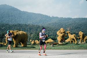 BIB: 
                            <button type="button" onclick="openModal(25871969)" class="btn btn-primary btn-sm float-right btn-popup" data-toggle="modal" data-target=".modal-high-quality">
                        <i class="fas fa-shopping-cart"></i> Add to Cart
                    </button>
                                            <button type="button" onclick="isThisMe(25871969, true)" class="btn btn-success btn-sm float-right btn-popup btn-isme hidden" data-toggle="tooltip" data-placement="bottom" title="นี่คือรูปของคุณใช่ไหม คลิกที่นี่เพื่อเอาเข้าอัลบั้ม">
                        <i class="fas fa-plus"></i> Add to album
                    </button>
                    <button type="button" onclick="isThisMe(25871969, false)" class="btn btn-warning btn-sm float-right btn-popup btn-isnotme hidden">
                        <i class="fas fa-ban"></i> Remove from album
                    </button>