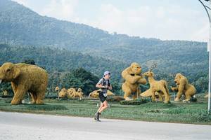 BIB: 
                            <button type="button" onclick="openModal(25869999)" class="btn btn-primary btn-sm float-right btn-popup" data-toggle="modal" data-target=".modal-high-quality">
                        <i class="fas fa-shopping-cart"></i> Add to Cart
                    </button>
                                            <button type="button" onclick="isThisMe(25869999, true)" class="btn btn-success btn-sm float-right btn-popup btn-isme hidden" data-toggle="tooltip" data-placement="bottom" title="นี่คือรูปของคุณใช่ไหม คลิกที่นี่เพื่อเอาเข้าอัลบั้ม">
                        <i class="fas fa-plus"></i> Add to album
                    </button>
                    <button type="button" onclick="isThisMe(25869999, false)" class="btn btn-warning btn-sm float-right btn-popup btn-isnotme hidden">
                        <i class="fas fa-ban"></i> Remove from album
                    </button>