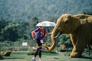 BIB: 
                            <button type="button" onclick="openModal(25977491)" class="btn btn-primary btn-sm float-right btn-popup" data-toggle="modal" data-target=".modal-high-quality">
                        <i class="fas fa-shopping-cart"></i> Add to Cart
                    </button>
                                            <button type="button" onclick="isThisMe(25977491, true)" class="btn btn-success btn-sm float-right btn-popup btn-isme hidden" data-toggle="tooltip" data-placement="bottom" title="นี่คือรูปของคุณใช่ไหม คลิกที่นี่เพื่อเอาเข้าอัลบั้ม">
                        <i class="fas fa-plus"></i> Add to album
                    </button>
                    <button type="button" onclick="isThisMe(25977491, false)" class="btn btn-warning btn-sm float-right btn-popup btn-isnotme hidden">
                        <i class="fas fa-ban"></i> Remove from album
                    </button>