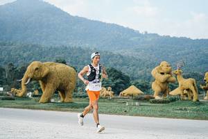 BIB: 
                            <button type="button" onclick="openModal(25870049)" class="btn btn-primary btn-sm float-right btn-popup" data-toggle="modal" data-target=".modal-high-quality">
                        <i class="fas fa-shopping-cart"></i> Add to Cart
                    </button>
                                            <button type="button" onclick="isThisMe(25870049, true)" class="btn btn-success btn-sm float-right btn-popup btn-isme hidden" data-toggle="tooltip" data-placement="bottom" title="นี่คือรูปของคุณใช่ไหม คลิกที่นี่เพื่อเอาเข้าอัลบั้ม">
                        <i class="fas fa-plus"></i> Add to album
                    </button>
                    <button type="button" onclick="isThisMe(25870049, false)" class="btn btn-warning btn-sm float-right btn-popup btn-isnotme hidden">
                        <i class="fas fa-ban"></i> Remove from album
                    </button>