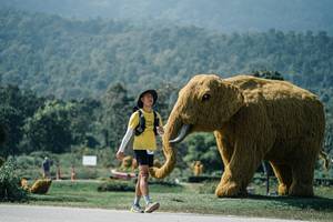 BIB: 
                            <button type="button" onclick="openModal(25966907)" class="btn btn-primary btn-sm float-right btn-popup" data-toggle="modal" data-target=".modal-high-quality">
                        <i class="fas fa-shopping-cart"></i> Add to Cart
                    </button>
                                            <button type="button" onclick="isThisMe(25966907, true)" class="btn btn-success btn-sm float-right btn-popup btn-isme hidden" data-toggle="tooltip" data-placement="bottom" title="นี่คือรูปของคุณใช่ไหม คลิกที่นี่เพื่อเอาเข้าอัลบั้ม">
                        <i class="fas fa-plus"></i> Add to album
                    </button>
                    <button type="button" onclick="isThisMe(25966907, false)" class="btn btn-warning btn-sm float-right btn-popup btn-isnotme hidden">
                        <i class="fas fa-ban"></i> Remove from album
                    </button>