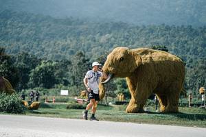 BIB: 
                            <button type="button" onclick="openModal(25928870)" class="btn btn-primary btn-sm float-right btn-popup" data-toggle="modal" data-target=".modal-high-quality">
                        <i class="fas fa-shopping-cart"></i> Add to Cart
                    </button>
                                            <button type="button" onclick="isThisMe(25928870, true)" class="btn btn-success btn-sm float-right btn-popup btn-isme hidden" data-toggle="tooltip" data-placement="bottom" title="นี่คือรูปของคุณใช่ไหม คลิกที่นี่เพื่อเอาเข้าอัลบั้ม">
                        <i class="fas fa-plus"></i> Add to album
                    </button>
                    <button type="button" onclick="isThisMe(25928870, false)" class="btn btn-warning btn-sm float-right btn-popup btn-isnotme hidden">
                        <i class="fas fa-ban"></i> Remove from album
                    </button>