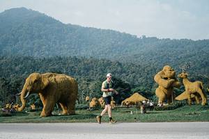 BIB: 
                            <button type="button" onclick="openModal(25871432)" class="btn btn-primary btn-sm float-right btn-popup" data-toggle="modal" data-target=".modal-high-quality">
                        <i class="fas fa-shopping-cart"></i> Add to Cart
                    </button>
                                            <button type="button" onclick="isThisMe(25871432, true)" class="btn btn-success btn-sm float-right btn-popup btn-isme hidden" data-toggle="tooltip" data-placement="bottom" title="นี่คือรูปของคุณใช่ไหม คลิกที่นี่เพื่อเอาเข้าอัลบั้ม">
                        <i class="fas fa-plus"></i> Add to album
                    </button>
                    <button type="button" onclick="isThisMe(25871432, false)" class="btn btn-warning btn-sm float-right btn-popup btn-isnotme hidden">
                        <i class="fas fa-ban"></i> Remove from album
                    </button>