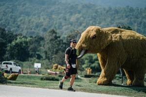 BIB: 
                            <button type="button" onclick="openModal(25961537)" class="btn btn-primary btn-sm float-right btn-popup" data-toggle="modal" data-target=".modal-high-quality">
                        <i class="fas fa-shopping-cart"></i> Add to Cart
                    </button>
                                            <button type="button" onclick="isThisMe(25961537, true)" class="btn btn-success btn-sm float-right btn-popup btn-isme hidden" data-toggle="tooltip" data-placement="bottom" title="นี่คือรูปของคุณใช่ไหม คลิกที่นี่เพื่อเอาเข้าอัลบั้ม">
                        <i class="fas fa-plus"></i> Add to album
                    </button>
                    <button type="button" onclick="isThisMe(25961537, false)" class="btn btn-warning btn-sm float-right btn-popup btn-isnotme hidden">
                        <i class="fas fa-ban"></i> Remove from album
                    </button>