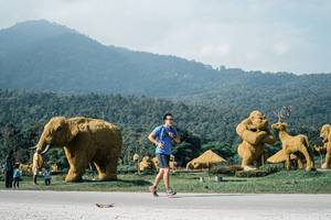 BIB: 
                            <button type="button" onclick="openModal(25889391)" class="btn btn-primary btn-sm float-right btn-popup" data-toggle="modal" data-target=".modal-high-quality">
                        <i class="fas fa-shopping-cart"></i> Add to Cart
                    </button>
                                            <button type="button" onclick="isThisMe(25889391, true)" class="btn btn-success btn-sm float-right btn-popup btn-isme hidden" data-toggle="tooltip" data-placement="bottom" title="นี่คือรูปของคุณใช่ไหม คลิกที่นี่เพื่อเอาเข้าอัลบั้ม">
                        <i class="fas fa-plus"></i> Add to album
                    </button>
                    <button type="button" onclick="isThisMe(25889391, false)" class="btn btn-warning btn-sm float-right btn-popup btn-isnotme hidden">
                        <i class="fas fa-ban"></i> Remove from album
                    </button>