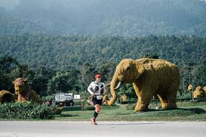 BIB: 
                            <button type="button" onclick="openModal(25885227)" class="btn btn-primary btn-sm float-right btn-popup" data-toggle="modal" data-target=".modal-high-quality">
                        <i class="fas fa-shopping-cart"></i> Add to Cart
                    </button>
                                            <button type="button" onclick="isThisMe(25885227, true)" class="btn btn-success btn-sm float-right btn-popup btn-isme hidden" data-toggle="tooltip" data-placement="bottom" title="นี่คือรูปของคุณใช่ไหม คลิกที่นี่เพื่อเอาเข้าอัลบั้ม">
                        <i class="fas fa-plus"></i> Add to album
                    </button>
                    <button type="button" onclick="isThisMe(25885227, false)" class="btn btn-warning btn-sm float-right btn-popup btn-isnotme hidden">
                        <i class="fas fa-ban"></i> Remove from album
                    </button>