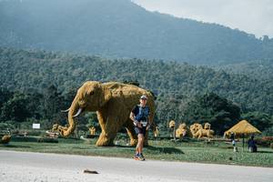 BIB: 
                            <button type="button" onclick="openModal(25908140)" class="btn btn-primary btn-sm float-right btn-popup" data-toggle="modal" data-target=".modal-high-quality">
                        <i class="fas fa-shopping-cart"></i> Add to Cart
                    </button>
                                            <button type="button" onclick="isThisMe(25908140, true)" class="btn btn-success btn-sm float-right btn-popup btn-isme hidden" data-toggle="tooltip" data-placement="bottom" title="นี่คือรูปของคุณใช่ไหม คลิกที่นี่เพื่อเอาเข้าอัลบั้ม">
                        <i class="fas fa-plus"></i> Add to album
                    </button>
                    <button type="button" onclick="isThisMe(25908140, false)" class="btn btn-warning btn-sm float-right btn-popup btn-isnotme hidden">
                        <i class="fas fa-ban"></i> Remove from album
                    </button>