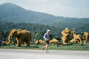 BIB: 
                            <button type="button" onclick="openModal(25871834)" class="btn btn-primary btn-sm float-right btn-popup" data-toggle="modal" data-target=".modal-high-quality">
                        <i class="fas fa-shopping-cart"></i> Add to Cart
                    </button>
                                            <button type="button" onclick="isThisMe(25871834, true)" class="btn btn-success btn-sm float-right btn-popup btn-isme hidden" data-toggle="tooltip" data-placement="bottom" title="นี่คือรูปของคุณใช่ไหม คลิกที่นี่เพื่อเอาเข้าอัลบั้ม">
                        <i class="fas fa-plus"></i> Add to album
                    </button>
                    <button type="button" onclick="isThisMe(25871834, false)" class="btn btn-warning btn-sm float-right btn-popup btn-isnotme hidden">
                        <i class="fas fa-ban"></i> Remove from album
                    </button>