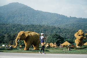 BIB: 
                            <button type="button" onclick="openModal(25871697)" class="btn btn-primary btn-sm float-right btn-popup" data-toggle="modal" data-target=".modal-high-quality">
                        <i class="fas fa-shopping-cart"></i> Add to Cart
                    </button>
                                            <button type="button" onclick="isThisMe(25871697, true)" class="btn btn-success btn-sm float-right btn-popup btn-isme hidden" data-toggle="tooltip" data-placement="bottom" title="นี่คือรูปของคุณใช่ไหม คลิกที่นี่เพื่อเอาเข้าอัลบั้ม">
                        <i class="fas fa-plus"></i> Add to album
                    </button>
                    <button type="button" onclick="isThisMe(25871697, false)" class="btn btn-warning btn-sm float-right btn-popup btn-isnotme hidden">
                        <i class="fas fa-ban"></i> Remove from album
                    </button>