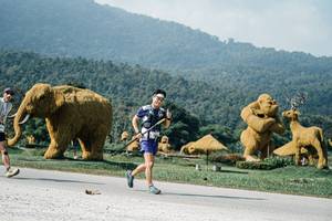 BIB: 
                            <button type="button" onclick="openModal(25896198)" class="btn btn-primary btn-sm float-right btn-popup" data-toggle="modal" data-target=".modal-high-quality">
                        <i class="fas fa-shopping-cart"></i> Add to Cart
                    </button>
                                            <button type="button" onclick="isThisMe(25896198, true)" class="btn btn-success btn-sm float-right btn-popup btn-isme hidden" data-toggle="tooltip" data-placement="bottom" title="นี่คือรูปของคุณใช่ไหม คลิกที่นี่เพื่อเอาเข้าอัลบั้ม">
                        <i class="fas fa-plus"></i> Add to album
                    </button>
                    <button type="button" onclick="isThisMe(25896198, false)" class="btn btn-warning btn-sm float-right btn-popup btn-isnotme hidden">
                        <i class="fas fa-ban"></i> Remove from album
                    </button>