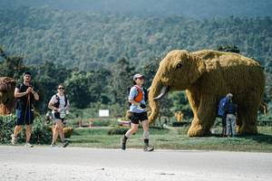 BIB: 
                            <button type="button" onclick="openModal(25939173)" class="btn btn-primary btn-sm float-right btn-popup" data-toggle="modal" data-target=".modal-high-quality">
                        <i class="fas fa-shopping-cart"></i> Add to Cart
                    </button>
                                            <button type="button" onclick="isThisMe(25939173, true)" class="btn btn-success btn-sm float-right btn-popup btn-isme hidden" data-toggle="tooltip" data-placement="bottom" title="นี่คือรูปของคุณใช่ไหม คลิกที่นี่เพื่อเอาเข้าอัลบั้ม">
                        <i class="fas fa-plus"></i> Add to album
                    </button>
                    <button type="button" onclick="isThisMe(25939173, false)" class="btn btn-warning btn-sm float-right btn-popup btn-isnotme hidden">
                        <i class="fas fa-ban"></i> Remove from album
                    </button>