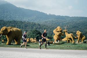 BIB: 
                            <button type="button" onclick="openModal(25875589)" class="btn btn-primary btn-sm float-right btn-popup" data-toggle="modal" data-target=".modal-high-quality">
                        <i class="fas fa-shopping-cart"></i> Add to Cart
                    </button>
                                            <button type="button" onclick="isThisMe(25875589, true)" class="btn btn-success btn-sm float-right btn-popup btn-isme hidden" data-toggle="tooltip" data-placement="bottom" title="นี่คือรูปของคุณใช่ไหม คลิกที่นี่เพื่อเอาเข้าอัลบั้ม">
                        <i class="fas fa-plus"></i> Add to album
                    </button>
                    <button type="button" onclick="isThisMe(25875589, false)" class="btn btn-warning btn-sm float-right btn-popup btn-isnotme hidden">
                        <i class="fas fa-ban"></i> Remove from album
                    </button>