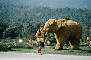 BIB: 
                            <button type="button" onclick="openModal(25893210)" class="btn btn-primary btn-sm float-right btn-popup" data-toggle="modal" data-target=".modal-high-quality">
                        <i class="fas fa-shopping-cart"></i> Add to Cart
                    </button>
                                            <button type="button" onclick="isThisMe(25893210, true)" class="btn btn-success btn-sm float-right btn-popup btn-isme hidden" data-toggle="tooltip" data-placement="bottom" title="นี่คือรูปของคุณใช่ไหม คลิกที่นี่เพื่อเอาเข้าอัลบั้ม">
                        <i class="fas fa-plus"></i> Add to album
                    </button>
                    <button type="button" onclick="isThisMe(25893210, false)" class="btn btn-warning btn-sm float-right btn-popup btn-isnotme hidden">
                        <i class="fas fa-ban"></i> Remove from album
                    </button>