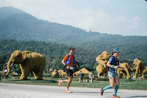 BIB: 
                            <button type="button" onclick="openModal(25884589)" class="btn btn-primary btn-sm float-right btn-popup" data-toggle="modal" data-target=".modal-high-quality">
                        <i class="fas fa-shopping-cart"></i> Add to Cart
                    </button>
                                            <button type="button" onclick="isThisMe(25884589, true)" class="btn btn-success btn-sm float-right btn-popup btn-isme hidden" data-toggle="tooltip" data-placement="bottom" title="นี่คือรูปของคุณใช่ไหม คลิกที่นี่เพื่อเอาเข้าอัลบั้ม">
                        <i class="fas fa-plus"></i> Add to album
                    </button>
                    <button type="button" onclick="isThisMe(25884589, false)" class="btn btn-warning btn-sm float-right btn-popup btn-isnotme hidden">
                        <i class="fas fa-ban"></i> Remove from album
                    </button>