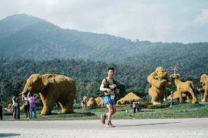 BIB: 
                            <button type="button" onclick="openModal(25881507)" class="btn btn-primary btn-sm float-right btn-popup" data-toggle="modal" data-target=".modal-high-quality">
                        <i class="fas fa-shopping-cart"></i> Add to Cart
                    </button>
                                            <button type="button" onclick="isThisMe(25881507, true)" class="btn btn-success btn-sm float-right btn-popup btn-isme hidden" data-toggle="tooltip" data-placement="bottom" title="นี่คือรูปของคุณใช่ไหม คลิกที่นี่เพื่อเอาเข้าอัลบั้ม">
                        <i class="fas fa-plus"></i> Add to album
                    </button>
                    <button type="button" onclick="isThisMe(25881507, false)" class="btn btn-warning btn-sm float-right btn-popup btn-isnotme hidden">
                        <i class="fas fa-ban"></i> Remove from album
                    </button>