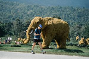 BIB: 
                            <button type="button" onclick="openModal(25933474)" class="btn btn-primary btn-sm float-right btn-popup" data-toggle="modal" data-target=".modal-high-quality">
                        <i class="fas fa-shopping-cart"></i> Add to Cart
                    </button>
                                            <button type="button" onclick="isThisMe(25933474, true)" class="btn btn-success btn-sm float-right btn-popup btn-isme hidden" data-toggle="tooltip" data-placement="bottom" title="นี่คือรูปของคุณใช่ไหม คลิกที่นี่เพื่อเอาเข้าอัลบั้ม">
                        <i class="fas fa-plus"></i> Add to album
                    </button>
                    <button type="button" onclick="isThisMe(25933474, false)" class="btn btn-warning btn-sm float-right btn-popup btn-isnotme hidden">
                        <i class="fas fa-ban"></i> Remove from album
                    </button>