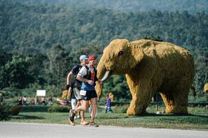 BIB: 
                            <button type="button" onclick="openModal(25873404)" class="btn btn-primary btn-sm float-right btn-popup" data-toggle="modal" data-target=".modal-high-quality">
                        <i class="fas fa-shopping-cart"></i> Add to Cart
                    </button>
                                            <button type="button" onclick="isThisMe(25873404, true)" class="btn btn-success btn-sm float-right btn-popup btn-isme hidden" data-toggle="tooltip" data-placement="bottom" title="นี่คือรูปของคุณใช่ไหม คลิกที่นี่เพื่อเอาเข้าอัลบั้ม">
                        <i class="fas fa-plus"></i> Add to album
                    </button>
                    <button type="button" onclick="isThisMe(25873404, false)" class="btn btn-warning btn-sm float-right btn-popup btn-isnotme hidden">
                        <i class="fas fa-ban"></i> Remove from album
                    </button>