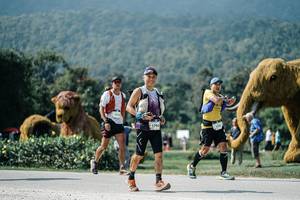 BIB: 
                            <button type="button" onclick="openModal(25938483)" class="btn btn-primary btn-sm float-right btn-popup" data-toggle="modal" data-target=".modal-high-quality">
                        <i class="fas fa-shopping-cart"></i> Add to Cart
                    </button>
                                            <button type="button" onclick="isThisMe(25938483, true)" class="btn btn-success btn-sm float-right btn-popup btn-isme hidden" data-toggle="tooltip" data-placement="bottom" title="นี่คือรูปของคุณใช่ไหม คลิกที่นี่เพื่อเอาเข้าอัลบั้ม">
                        <i class="fas fa-plus"></i> Add to album
                    </button>
                    <button type="button" onclick="isThisMe(25938483, false)" class="btn btn-warning btn-sm float-right btn-popup btn-isnotme hidden">
                        <i class="fas fa-ban"></i> Remove from album
                    </button>