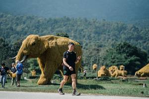 BIB: 
                            <button type="button" onclick="openModal(25937076)" class="btn btn-primary btn-sm float-right btn-popup" data-toggle="modal" data-target=".modal-high-quality">
                        <i class="fas fa-shopping-cart"></i> Add to Cart
                    </button>
                                            <button type="button" onclick="isThisMe(25937076, true)" class="btn btn-success btn-sm float-right btn-popup btn-isme hidden" data-toggle="tooltip" data-placement="bottom" title="นี่คือรูปของคุณใช่ไหม คลิกที่นี่เพื่อเอาเข้าอัลบั้ม">
                        <i class="fas fa-plus"></i> Add to album
                    </button>
                    <button type="button" onclick="isThisMe(25937076, false)" class="btn btn-warning btn-sm float-right btn-popup btn-isnotme hidden">
                        <i class="fas fa-ban"></i> Remove from album
                    </button>