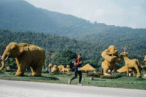 BIB: 
                            <button type="button" onclick="openModal(25887593)" class="btn btn-primary btn-sm float-right btn-popup" data-toggle="modal" data-target=".modal-high-quality">
                        <i class="fas fa-shopping-cart"></i> Add to Cart
                    </button>
                                            <button type="button" onclick="isThisMe(25887593, true)" class="btn btn-success btn-sm float-right btn-popup btn-isme hidden" data-toggle="tooltip" data-placement="bottom" title="นี่คือรูปของคุณใช่ไหม คลิกที่นี่เพื่อเอาเข้าอัลบั้ม">
                        <i class="fas fa-plus"></i> Add to album
                    </button>
                    <button type="button" onclick="isThisMe(25887593, false)" class="btn btn-warning btn-sm float-right btn-popup btn-isnotme hidden">
                        <i class="fas fa-ban"></i> Remove from album
                    </button>