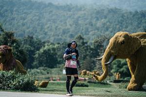 BIB: 
                            <button type="button" onclick="openModal(25977786)" class="btn btn-primary btn-sm float-right btn-popup" data-toggle="modal" data-target=".modal-high-quality">
                        <i class="fas fa-shopping-cart"></i> Add to Cart
                    </button>
                                            <button type="button" onclick="isThisMe(25977786, true)" class="btn btn-success btn-sm float-right btn-popup btn-isme hidden" data-toggle="tooltip" data-placement="bottom" title="นี่คือรูปของคุณใช่ไหม คลิกที่นี่เพื่อเอาเข้าอัลบั้ม">
                        <i class="fas fa-plus"></i> Add to album
                    </button>
                    <button type="button" onclick="isThisMe(25977786, false)" class="btn btn-warning btn-sm float-right btn-popup btn-isnotme hidden">
                        <i class="fas fa-ban"></i> Remove from album
                    </button>