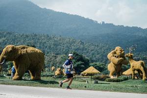 BIB: 
                            <button type="button" onclick="openModal(25942766)" class="btn btn-primary btn-sm float-right btn-popup" data-toggle="modal" data-target=".modal-high-quality">
                        <i class="fas fa-shopping-cart"></i> Add to Cart
                    </button>
                                            <button type="button" onclick="isThisMe(25942766, true)" class="btn btn-success btn-sm float-right btn-popup btn-isme hidden" data-toggle="tooltip" data-placement="bottom" title="นี่คือรูปของคุณใช่ไหม คลิกที่นี่เพื่อเอาเข้าอัลบั้ม">
                        <i class="fas fa-plus"></i> Add to album
                    </button>
                    <button type="button" onclick="isThisMe(25942766, false)" class="btn btn-warning btn-sm float-right btn-popup btn-isnotme hidden">
                        <i class="fas fa-ban"></i> Remove from album
                    </button>