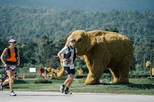 BIB: 
                            <button type="button" onclick="openModal(25922250)" class="btn btn-primary btn-sm float-right btn-popup" data-toggle="modal" data-target=".modal-high-quality">
                        <i class="fas fa-shopping-cart"></i> Add to Cart
                    </button>
                                            <button type="button" onclick="isThisMe(25922250, true)" class="btn btn-success btn-sm float-right btn-popup btn-isme hidden" data-toggle="tooltip" data-placement="bottom" title="นี่คือรูปของคุณใช่ไหม คลิกที่นี่เพื่อเอาเข้าอัลบั้ม">
                        <i class="fas fa-plus"></i> Add to album
                    </button>
                    <button type="button" onclick="isThisMe(25922250, false)" class="btn btn-warning btn-sm float-right btn-popup btn-isnotme hidden">
                        <i class="fas fa-ban"></i> Remove from album
                    </button>