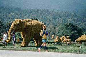 BIB: 
                            <button type="button" onclick="openModal(25956826)" class="btn btn-primary btn-sm float-right btn-popup" data-toggle="modal" data-target=".modal-high-quality">
                        <i class="fas fa-shopping-cart"></i> Add to Cart
                    </button>
                                            <button type="button" onclick="isThisMe(25956826, true)" class="btn btn-success btn-sm float-right btn-popup btn-isme hidden" data-toggle="tooltip" data-placement="bottom" title="นี่คือรูปของคุณใช่ไหม คลิกที่นี่เพื่อเอาเข้าอัลบั้ม">
                        <i class="fas fa-plus"></i> Add to album
                    </button>
                    <button type="button" onclick="isThisMe(25956826, false)" class="btn btn-warning btn-sm float-right btn-popup btn-isnotme hidden">
                        <i class="fas fa-ban"></i> Remove from album
                    </button>