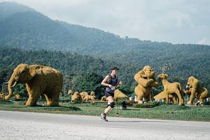 BIB: 
                            <button type="button" onclick="openModal(25877722)" class="btn btn-primary btn-sm float-right btn-popup" data-toggle="modal" data-target=".modal-high-quality">
                        <i class="fas fa-shopping-cart"></i> Add to Cart
                    </button>
                                            <button type="button" onclick="isThisMe(25877722, true)" class="btn btn-success btn-sm float-right btn-popup btn-isme hidden" data-toggle="tooltip" data-placement="bottom" title="นี่คือรูปของคุณใช่ไหม คลิกที่นี่เพื่อเอาเข้าอัลบั้ม">
                        <i class="fas fa-plus"></i> Add to album
                    </button>
                    <button type="button" onclick="isThisMe(25877722, false)" class="btn btn-warning btn-sm float-right btn-popup btn-isnotme hidden">
                        <i class="fas fa-ban"></i> Remove from album
                    </button>