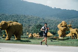 BIB: 
                            <button type="button" onclick="openModal(25923860)" class="btn btn-primary btn-sm float-right btn-popup" data-toggle="modal" data-target=".modal-high-quality">
                        <i class="fas fa-shopping-cart"></i> Add to Cart
                    </button>
                                            <button type="button" onclick="isThisMe(25923860, true)" class="btn btn-success btn-sm float-right btn-popup btn-isme hidden" data-toggle="tooltip" data-placement="bottom" title="นี่คือรูปของคุณใช่ไหม คลิกที่นี่เพื่อเอาเข้าอัลบั้ม">
                        <i class="fas fa-plus"></i> Add to album
                    </button>
                    <button type="button" onclick="isThisMe(25923860, false)" class="btn btn-warning btn-sm float-right btn-popup btn-isnotme hidden">
                        <i class="fas fa-ban"></i> Remove from album
                    </button>