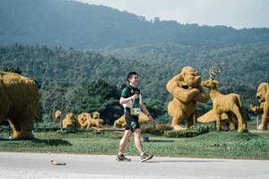 BIB: 
                            <button type="button" onclick="openModal(25911512)" class="btn btn-primary btn-sm float-right btn-popup" data-toggle="modal" data-target=".modal-high-quality">
                        <i class="fas fa-shopping-cart"></i> Add to Cart
                    </button>
                                            <button type="button" onclick="isThisMe(25911512, true)" class="btn btn-success btn-sm float-right btn-popup btn-isme hidden" data-toggle="tooltip" data-placement="bottom" title="นี่คือรูปของคุณใช่ไหม คลิกที่นี่เพื่อเอาเข้าอัลบั้ม">
                        <i class="fas fa-plus"></i> Add to album
                    </button>
                    <button type="button" onclick="isThisMe(25911512, false)" class="btn btn-warning btn-sm float-right btn-popup btn-isnotme hidden">
                        <i class="fas fa-ban"></i> Remove from album
                    </button>