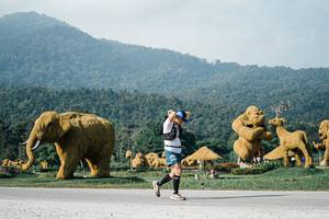 BIB: 
                            <button type="button" onclick="openModal(25872372)" class="btn btn-primary btn-sm float-right btn-popup" data-toggle="modal" data-target=".modal-high-quality">
                        <i class="fas fa-shopping-cart"></i> Add to Cart
                    </button>
                                            <button type="button" onclick="isThisMe(25872372, true)" class="btn btn-success btn-sm float-right btn-popup btn-isme hidden" data-toggle="tooltip" data-placement="bottom" title="นี่คือรูปของคุณใช่ไหม คลิกที่นี่เพื่อเอาเข้าอัลบั้ม">
                        <i class="fas fa-plus"></i> Add to album
                    </button>
                    <button type="button" onclick="isThisMe(25872372, false)" class="btn btn-warning btn-sm float-right btn-popup btn-isnotme hidden">
                        <i class="fas fa-ban"></i> Remove from album
                    </button>