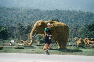 BIB: 
                            <button type="button" onclick="openModal(25973085)" class="btn btn-primary btn-sm float-right btn-popup" data-toggle="modal" data-target=".modal-high-quality">
                        <i class="fas fa-shopping-cart"></i> Add to Cart
                    </button>
                                            <button type="button" onclick="isThisMe(25973085, true)" class="btn btn-success btn-sm float-right btn-popup btn-isme hidden" data-toggle="tooltip" data-placement="bottom" title="นี่คือรูปของคุณใช่ไหม คลิกที่นี่เพื่อเอาเข้าอัลบั้ม">
                        <i class="fas fa-plus"></i> Add to album
                    </button>
                    <button type="button" onclick="isThisMe(25973085, false)" class="btn btn-warning btn-sm float-right btn-popup btn-isnotme hidden">
                        <i class="fas fa-ban"></i> Remove from album
                    </button>