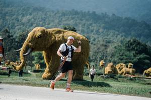 BIB: 
                            <button type="button" onclick="openModal(25958546)" class="btn btn-primary btn-sm float-right btn-popup" data-toggle="modal" data-target=".modal-high-quality">
                        <i class="fas fa-shopping-cart"></i> Add to Cart
                    </button>
                                            <button type="button" onclick="isThisMe(25958546, true)" class="btn btn-success btn-sm float-right btn-popup btn-isme hidden" data-toggle="tooltip" data-placement="bottom" title="นี่คือรูปของคุณใช่ไหม คลิกที่นี่เพื่อเอาเข้าอัลบั้ม">
                        <i class="fas fa-plus"></i> Add to album
                    </button>
                    <button type="button" onclick="isThisMe(25958546, false)" class="btn btn-warning btn-sm float-right btn-popup btn-isnotme hidden">
                        <i class="fas fa-ban"></i> Remove from album
                    </button>