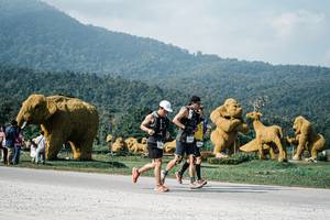 BIB: 
                            <button type="button" onclick="openModal(25873956)" class="btn btn-primary btn-sm float-right btn-popup" data-toggle="modal" data-target=".modal-high-quality">
                        <i class="fas fa-shopping-cart"></i> Add to Cart
                    </button>
                                            <button type="button" onclick="isThisMe(25873956, true)" class="btn btn-success btn-sm float-right btn-popup btn-isme hidden" data-toggle="tooltip" data-placement="bottom" title="นี่คือรูปของคุณใช่ไหม คลิกที่นี่เพื่อเอาเข้าอัลบั้ม">
                        <i class="fas fa-plus"></i> Add to album
                    </button>
                    <button type="button" onclick="isThisMe(25873956, false)" class="btn btn-warning btn-sm float-right btn-popup btn-isnotme hidden">
                        <i class="fas fa-ban"></i> Remove from album
                    </button>