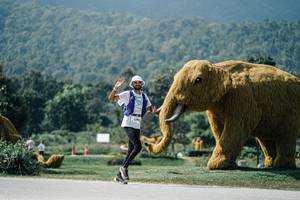 BIB: 
                            <button type="button" onclick="openModal(25947987)" class="btn btn-primary btn-sm float-right btn-popup" data-toggle="modal" data-target=".modal-high-quality">
                        <i class="fas fa-shopping-cart"></i> Add to Cart
                    </button>
                                            <button type="button" onclick="isThisMe(25947987, true)" class="btn btn-success btn-sm float-right btn-popup btn-isme hidden" data-toggle="tooltip" data-placement="bottom" title="นี่คือรูปของคุณใช่ไหม คลิกที่นี่เพื่อเอาเข้าอัลบั้ม">
                        <i class="fas fa-plus"></i> Add to album
                    </button>
                    <button type="button" onclick="isThisMe(25947987, false)" class="btn btn-warning btn-sm float-right btn-popup btn-isnotme hidden">
                        <i class="fas fa-ban"></i> Remove from album
                    </button>