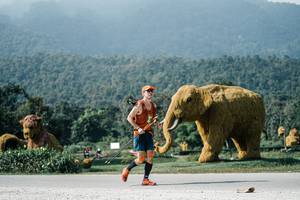 BIB: 
                            <button type="button" onclick="openModal(25897382)" class="btn btn-primary btn-sm float-right btn-popup" data-toggle="modal" data-target=".modal-high-quality">
                        <i class="fas fa-shopping-cart"></i> Add to Cart
                    </button>
                                            <button type="button" onclick="isThisMe(25897382, true)" class="btn btn-success btn-sm float-right btn-popup btn-isme hidden" data-toggle="tooltip" data-placement="bottom" title="นี่คือรูปของคุณใช่ไหม คลิกที่นี่เพื่อเอาเข้าอัลบั้ม">
                        <i class="fas fa-plus"></i> Add to album
                    </button>
                    <button type="button" onclick="isThisMe(25897382, false)" class="btn btn-warning btn-sm float-right btn-popup btn-isnotme hidden">
                        <i class="fas fa-ban"></i> Remove from album
                    </button>