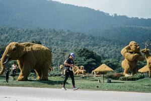 BIB: 
                            <button type="button" onclick="openModal(25958971)" class="btn btn-primary btn-sm float-right btn-popup" data-toggle="modal" data-target=".modal-high-quality">
                        <i class="fas fa-shopping-cart"></i> Add to Cart
                    </button>
                                            <button type="button" onclick="isThisMe(25958971, true)" class="btn btn-success btn-sm float-right btn-popup btn-isme hidden" data-toggle="tooltip" data-placement="bottom" title="นี่คือรูปของคุณใช่ไหม คลิกที่นี่เพื่อเอาเข้าอัลบั้ม">
                        <i class="fas fa-plus"></i> Add to album
                    </button>
                    <button type="button" onclick="isThisMe(25958971, false)" class="btn btn-warning btn-sm float-right btn-popup btn-isnotme hidden">
                        <i class="fas fa-ban"></i> Remove from album
                    </button>