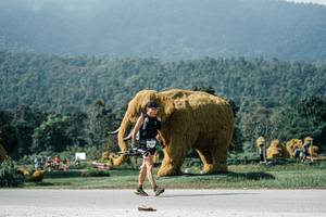 BIB: 
                            <button type="button" onclick="openModal(25904579)" class="btn btn-primary btn-sm float-right btn-popup" data-toggle="modal" data-target=".modal-high-quality">
                        <i class="fas fa-shopping-cart"></i> Add to Cart
                    </button>
                                            <button type="button" onclick="isThisMe(25904579, true)" class="btn btn-success btn-sm float-right btn-popup btn-isme hidden" data-toggle="tooltip" data-placement="bottom" title="นี่คือรูปของคุณใช่ไหม คลิกที่นี่เพื่อเอาเข้าอัลบั้ม">
                        <i class="fas fa-plus"></i> Add to album
                    </button>
                    <button type="button" onclick="isThisMe(25904579, false)" class="btn btn-warning btn-sm float-right btn-popup btn-isnotme hidden">
                        <i class="fas fa-ban"></i> Remove from album
                    </button>