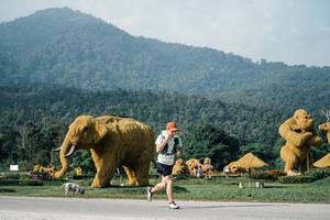 BIB: 
                            <button type="button" onclick="openModal(25870996)" class="btn btn-primary btn-sm float-right btn-popup" data-toggle="modal" data-target=".modal-high-quality">
                        <i class="fas fa-shopping-cart"></i> Add to Cart
                    </button>
                                            <button type="button" onclick="isThisMe(25870996, true)" class="btn btn-success btn-sm float-right btn-popup btn-isme hidden" data-toggle="tooltip" data-placement="bottom" title="นี่คือรูปของคุณใช่ไหม คลิกที่นี่เพื่อเอาเข้าอัลบั้ม">
                        <i class="fas fa-plus"></i> Add to album
                    </button>
                    <button type="button" onclick="isThisMe(25870996, false)" class="btn btn-warning btn-sm float-right btn-popup btn-isnotme hidden">
                        <i class="fas fa-ban"></i> Remove from album
                    </button>