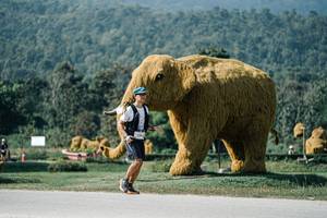 BIB: 
                            <button type="button" onclick="openModal(25903136)" class="btn btn-primary btn-sm float-right btn-popup" data-toggle="modal" data-target=".modal-high-quality">
                        <i class="fas fa-shopping-cart"></i> Add to Cart
                    </button>
                                            <button type="button" onclick="isThisMe(25903136, true)" class="btn btn-success btn-sm float-right btn-popup btn-isme hidden" data-toggle="tooltip" data-placement="bottom" title="นี่คือรูปของคุณใช่ไหม คลิกที่นี่เพื่อเอาเข้าอัลบั้ม">
                        <i class="fas fa-plus"></i> Add to album
                    </button>
                    <button type="button" onclick="isThisMe(25903136, false)" class="btn btn-warning btn-sm float-right btn-popup btn-isnotme hidden">
                        <i class="fas fa-ban"></i> Remove from album
                    </button>