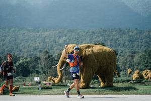 BIB: 
                            <button type="button" onclick="openModal(25950958)" class="btn btn-primary btn-sm float-right btn-popup" data-toggle="modal" data-target=".modal-high-quality">
                        <i class="fas fa-shopping-cart"></i> Add to Cart
                    </button>
                                            <button type="button" onclick="isThisMe(25950958, true)" class="btn btn-success btn-sm float-right btn-popup btn-isme hidden" data-toggle="tooltip" data-placement="bottom" title="นี่คือรูปของคุณใช่ไหม คลิกที่นี่เพื่อเอาเข้าอัลบั้ม">
                        <i class="fas fa-plus"></i> Add to album
                    </button>
                    <button type="button" onclick="isThisMe(25950958, false)" class="btn btn-warning btn-sm float-right btn-popup btn-isnotme hidden">
                        <i class="fas fa-ban"></i> Remove from album
                    </button>