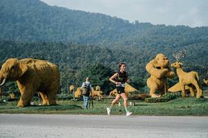 BIB: 
                            <button type="button" onclick="openModal(25870567)" class="btn btn-primary btn-sm float-right btn-popup" data-toggle="modal" data-target=".modal-high-quality">
                        <i class="fas fa-shopping-cart"></i> Add to Cart
                    </button>
                                            <button type="button" onclick="isThisMe(25870567, true)" class="btn btn-success btn-sm float-right btn-popup btn-isme hidden" data-toggle="tooltip" data-placement="bottom" title="นี่คือรูปของคุณใช่ไหม คลิกที่นี่เพื่อเอาเข้าอัลบั้ม">
                        <i class="fas fa-plus"></i> Add to album
                    </button>
                    <button type="button" onclick="isThisMe(25870567, false)" class="btn btn-warning btn-sm float-right btn-popup btn-isnotme hidden">
                        <i class="fas fa-ban"></i> Remove from album
                    </button>