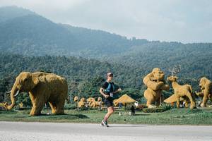 BIB: 
                            <button type="button" onclick="openModal(25877122)" class="btn btn-primary btn-sm float-right btn-popup" data-toggle="modal" data-target=".modal-high-quality">
                        <i class="fas fa-shopping-cart"></i> Add to Cart
                    </button>
                                            <button type="button" onclick="isThisMe(25877122, true)" class="btn btn-success btn-sm float-right btn-popup btn-isme hidden" data-toggle="tooltip" data-placement="bottom" title="นี่คือรูปของคุณใช่ไหม คลิกที่นี่เพื่อเอาเข้าอัลบั้ม">
                        <i class="fas fa-plus"></i> Add to album
                    </button>
                    <button type="button" onclick="isThisMe(25877122, false)" class="btn btn-warning btn-sm float-right btn-popup btn-isnotme hidden">
                        <i class="fas fa-ban"></i> Remove from album
                    </button>