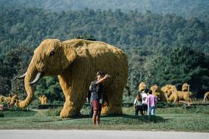 BIB: 
                            <button type="button" onclick="openModal(25883191)" class="btn btn-primary btn-sm float-right btn-popup" data-toggle="modal" data-target=".modal-high-quality">
                        <i class="fas fa-shopping-cart"></i> Add to Cart
                    </button>
                                            <button type="button" onclick="isThisMe(25883191, true)" class="btn btn-success btn-sm float-right btn-popup btn-isme hidden" data-toggle="tooltip" data-placement="bottom" title="นี่คือรูปของคุณใช่ไหม คลิกที่นี่เพื่อเอาเข้าอัลบั้ม">
                        <i class="fas fa-plus"></i> Add to album
                    </button>
                    <button type="button" onclick="isThisMe(25883191, false)" class="btn btn-warning btn-sm float-right btn-popup btn-isnotme hidden">
                        <i class="fas fa-ban"></i> Remove from album
                    </button>